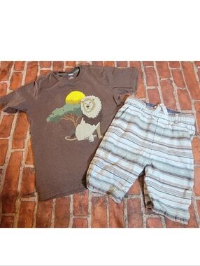 Gymboree Boys Safari Set Lion Shirt Sz 6 Shorts Sz 5t